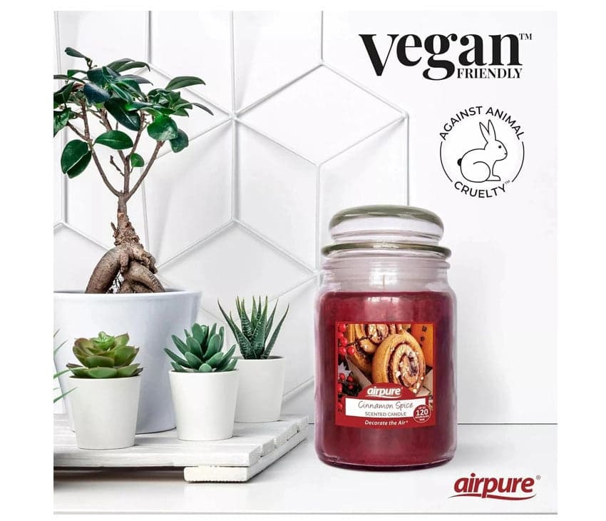 Airpure Large Jar Scented Candle Cinnamon Spice 510g hover