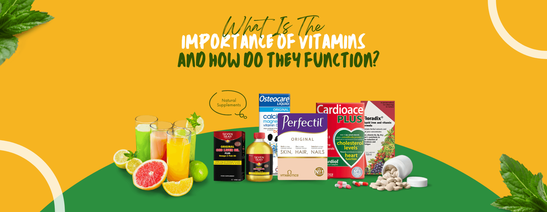 What Is The Importance Of Vitamins And How Do They Function?